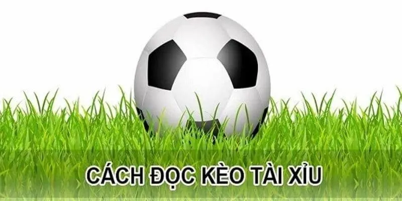 tính tiền kèo bóng đá tài xỉu